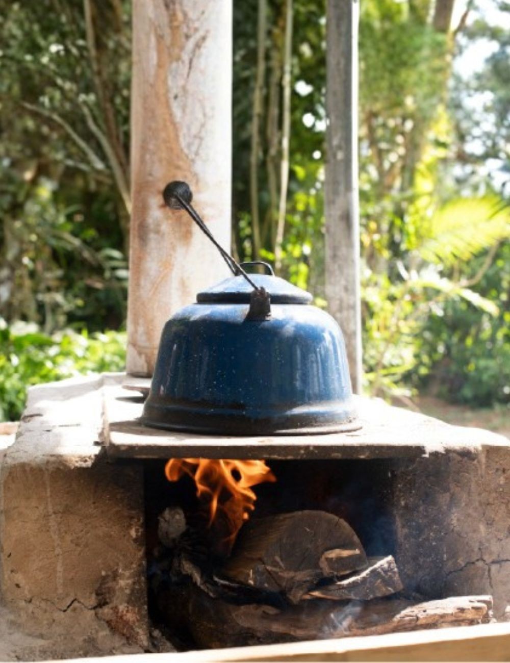 Vivencia rural costarricense + almuerzo típico