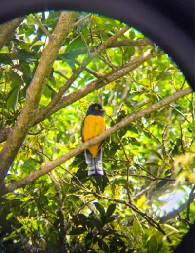 Vivencia rural costarricense